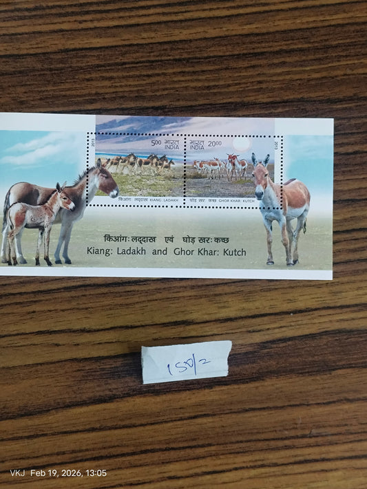 Pair-Animals of-Ladakh-Kutch