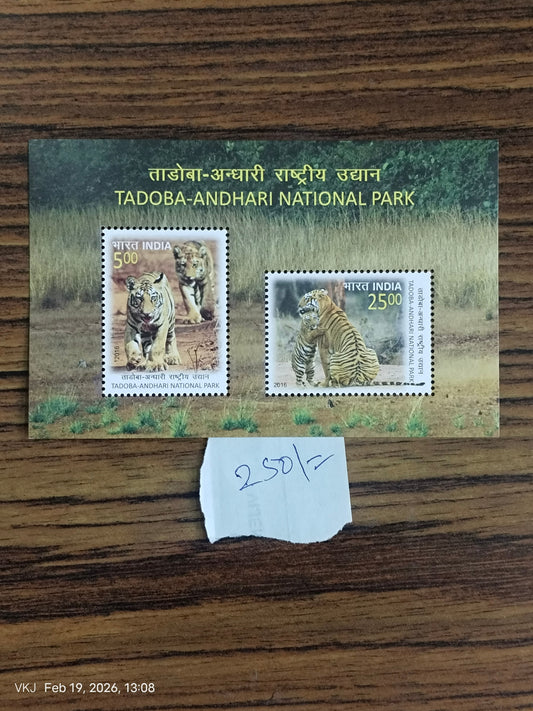Pair-Tadoba - Andhari National Park