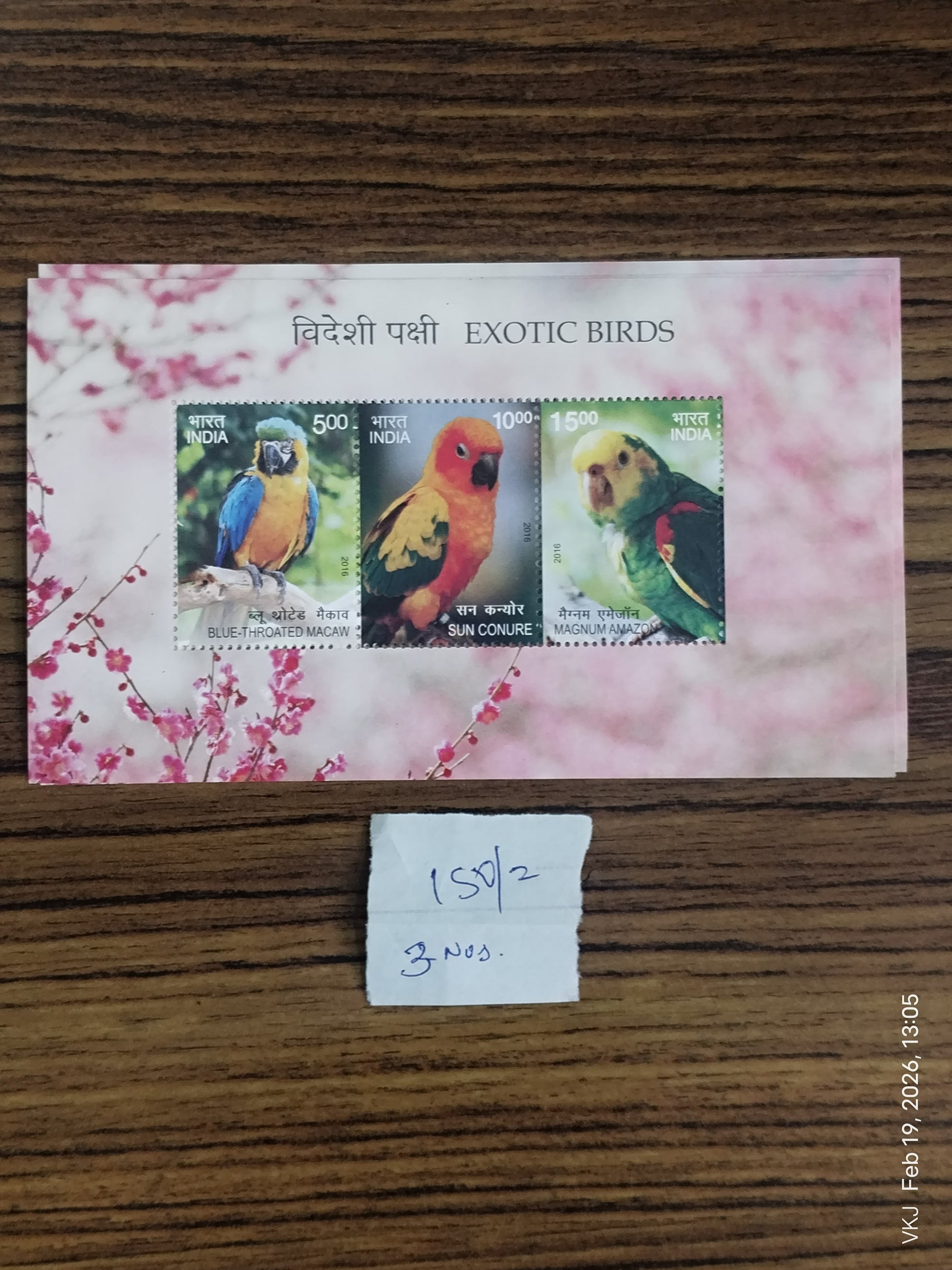 Sheetlet-Exotic Birds