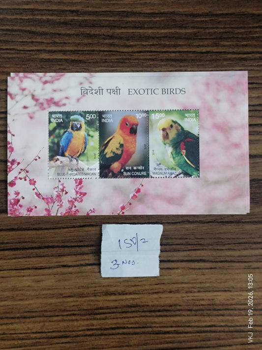 Sheetlet-Exotic Birds